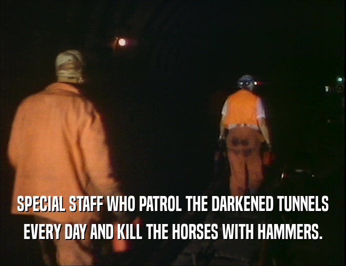 SPECIAL STAFF WHO PATROL THE DARKENED TUNNELS
 EVERY DAY AND KILL THE HORSES WITH HAMMERS.
 