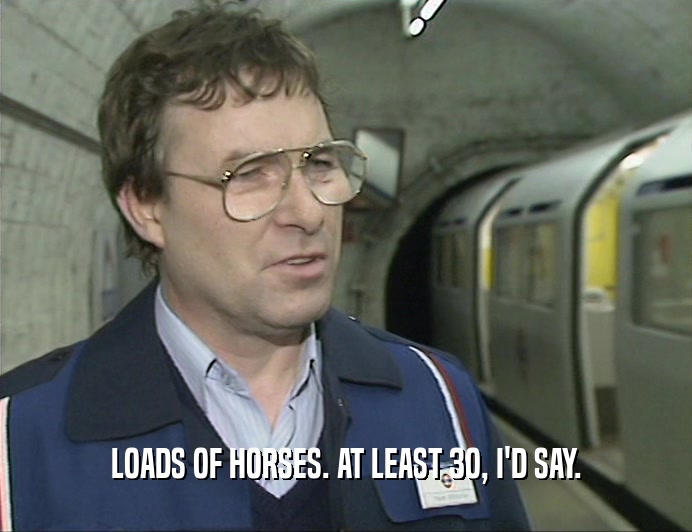 LOADS OF HORSES. AT LEAST 3O, I'D SAY.  