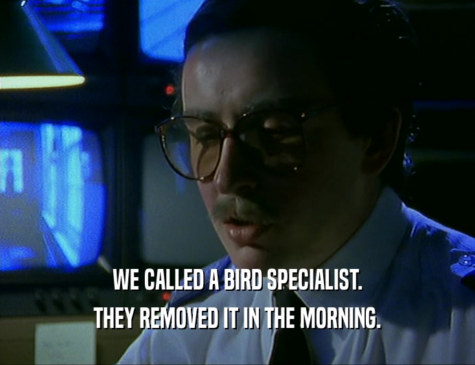 WE CALLED A BIRD SPECIALIST. THEY REMOVED IT IN THE MORNING. 
