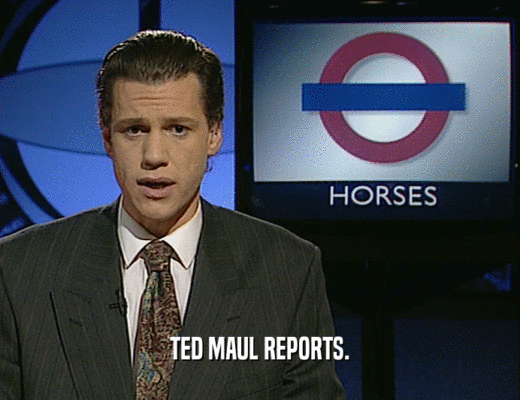 TED MAUL REPORTS.
  