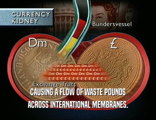CAUSING A FLOW OF WASTE POUNDS
 ACROSS INTERNATIONAL MEMBRANES.
 