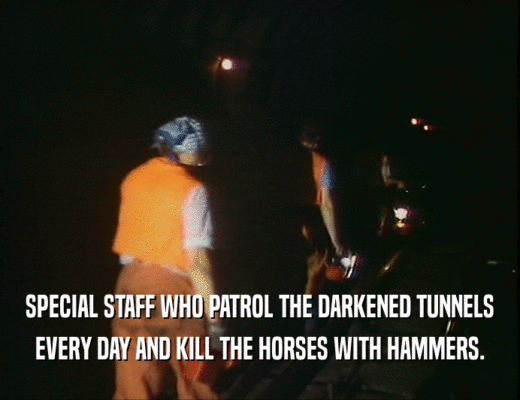 SPECIAL STAFF WHO PATROL THE DARKENED TUNNELS EVERY DAY AND KILL THE HORSES WITH HAMMERS. 