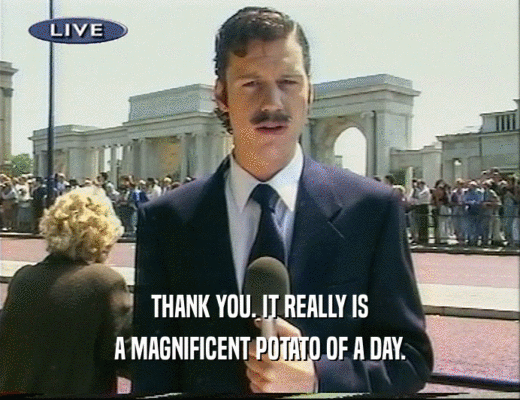 THANK YOU. IT REALLY IS
 A MAGNIFICENT POTATO OF A DAY.
 