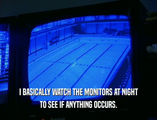 I BASICALLY WATCH THE MONITORS AT NIGHT
 TO SEE IF ANYTHING OCCURS.
 