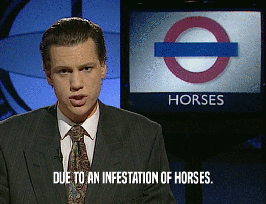 DUE TO AN INFESTATION OF HORSES.  