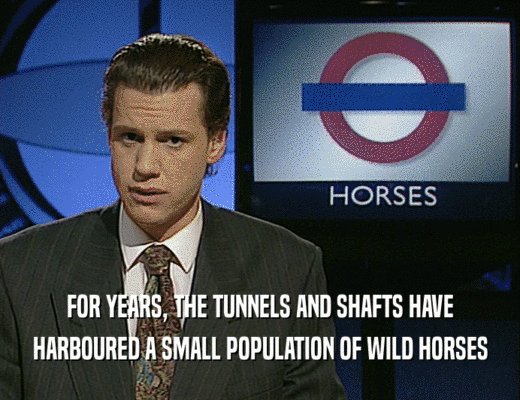 FOR YEARS, THE TUNNELS AND SHAFTS HAVE
 HARBOURED A SMALL POPULATION OF WILD HORSES
 