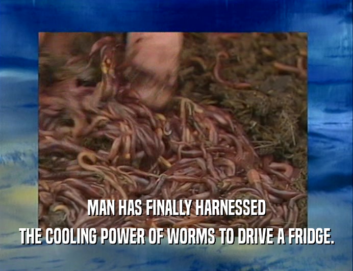 MAN HAS FINALLY HARNESSED THE COOLING POWER OF WORMS TO DRIVE A FRIDGE. 