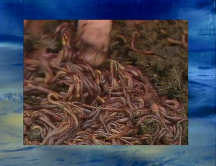 MAN HAS FINALLY HARNESSED THE COOLING POWER OF WORMS TO DRIVE A FRIDGE. 