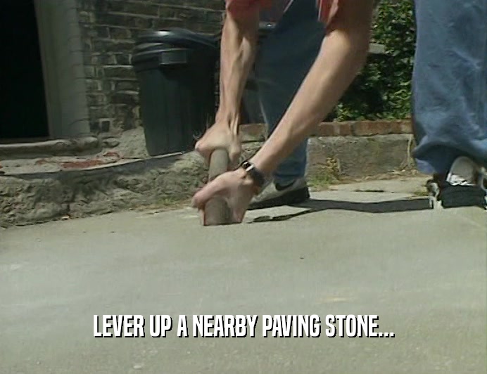 LEVER UP A NEARBY PAVING STONE...  