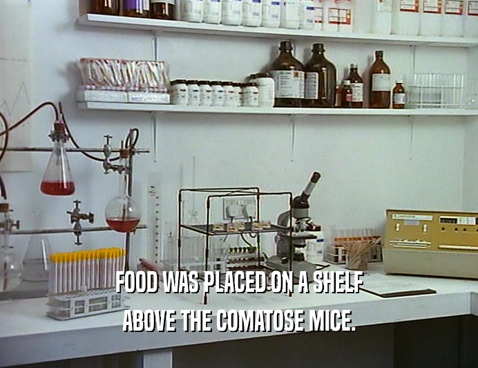 FOOD WAS PLACED ON A SHELF
 ABOVE THE COMATOSE MICE.
 