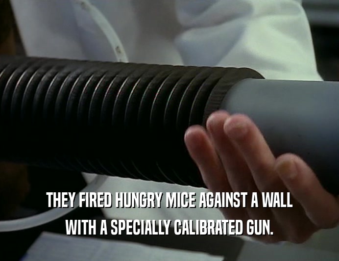 THEY FIRED HUNGRY MICE AGAINST A WALL
 WITH A SPECIALLY CALIBRATED GUN.
 