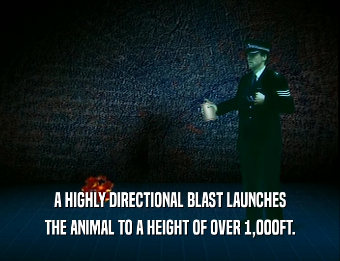 A HIGHLY DIRECTIONAL BLAST LAUNCHES
 THE ANIMAL TO A HEIGHT OF OVER 1,000FT.
 