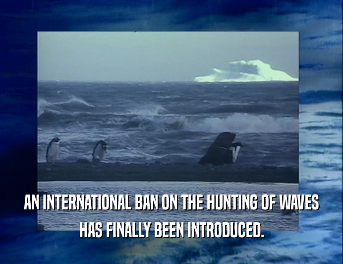 AN INTERNATIONAL BAN ON THE HUNTING OF WAVES HAS FINALLY BEEN INTRODUCED. 