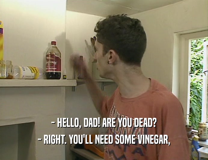 - HELLO, DAD! ARE YOU DEAD?
 - RIGHT. YOU'LL NEED SOME VINEGAR,
 