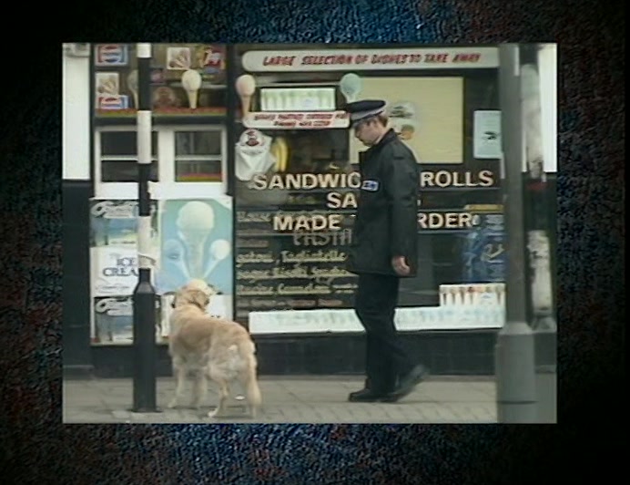 COMING UP - NEW EXPLOSIVE SUSS LAWS MEAN ANY DOMESTIC DOG IS NOW A POTENTIAL HAZARD... 