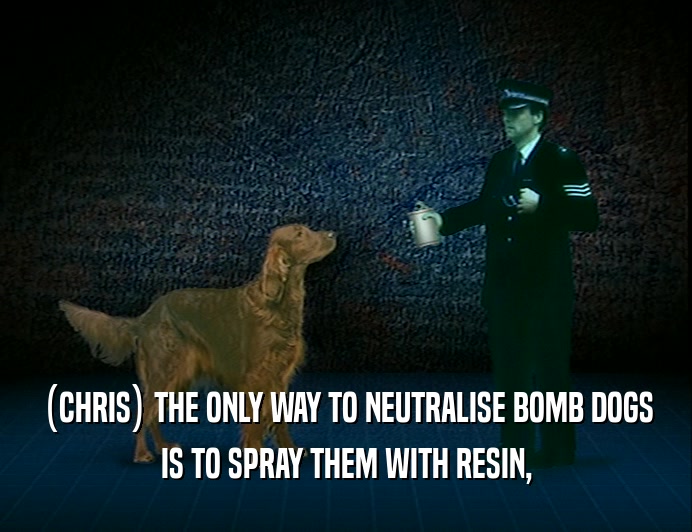 (CHRIS) THE ONLY WAY TO NEUTRALISE BOMB DOGS
 IS TO SPRAY THEM WITH RESIN,
 