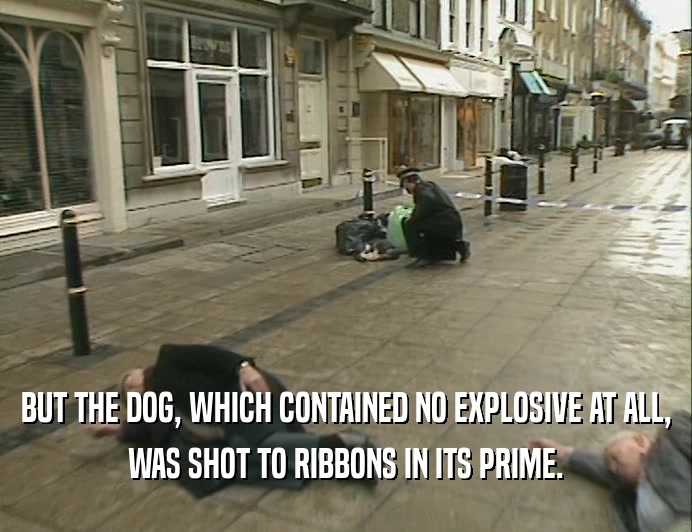 BUT THE DOG, WHICH CONTAINED NO EXPLOSIVE AT ALL,
 WAS SHOT TO RIBBONS IN ITS PRIME.
 