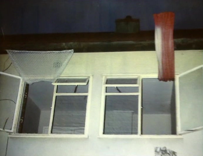 THESE PICTURES WERE TAKEN BY PAUL CORK, WHEN HE FELL UP INTO THE ROOF OF A SHED. 