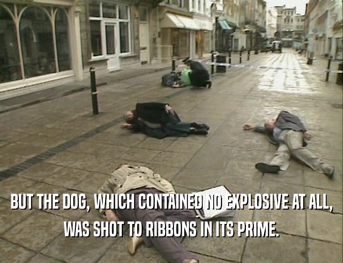BUT THE DOG, WHICH CONTAINED NO EXPLOSIVE AT ALL,
 WAS SHOT TO RIBBONS IN ITS PRIME.
 