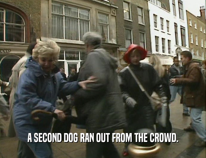 A SECOND DOG RAN OUT FROM THE CROWD.  