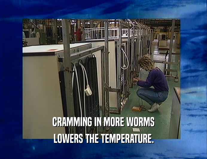 CRAMMING IN MORE WORMS LOWERS THE TEMPERATURE. 
