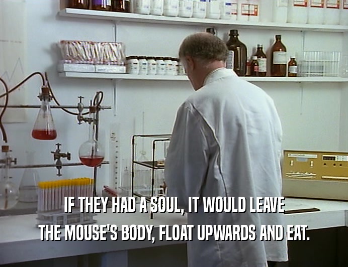IF THEY HAD A SOUL, IT WOULD LEAVE
 THE MOUSE'S BODY, FLOAT UPWARDS AND EAT.
 
