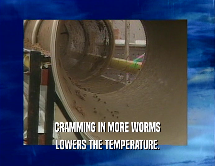 CRAMMING IN MORE WORMS LOWERS THE TEMPERATURE. 