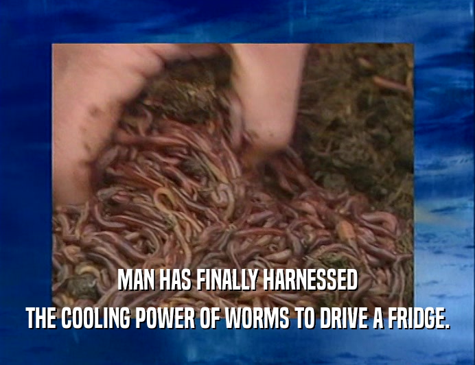 MAN HAS FINALLY HARNESSED THE COOLING POWER OF WORMS TO DRIVE A FRIDGE. 