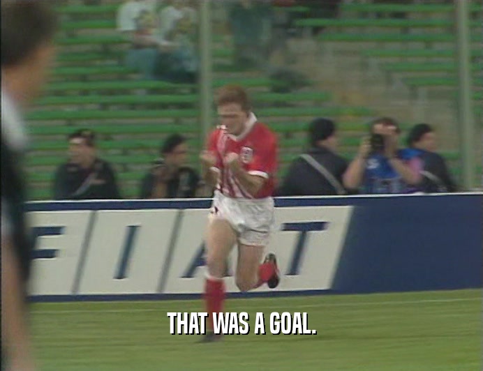 THAT WAS A GOAL.  