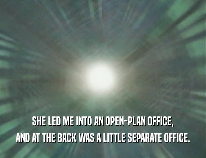 SHE LED ME INTO AN OPEN-PLAN OFFICE,
 AND AT THE BACK WAS A LITTLE SEPARATE OFFICE.
 