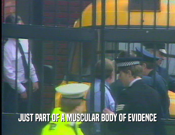 JUST PART OF A MUSCULAR BODY OF EVIDENCE
  
