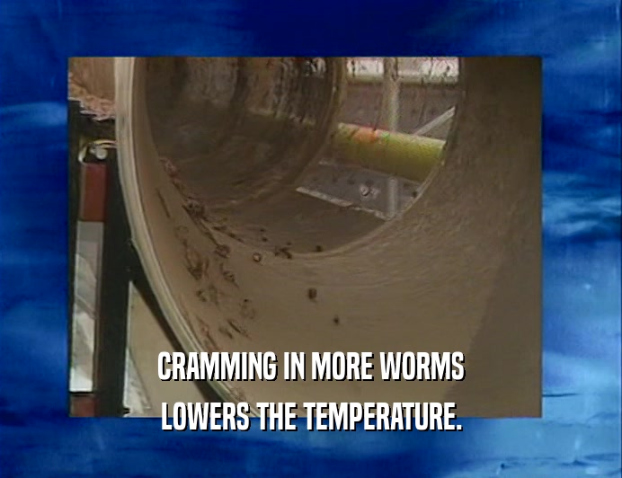 CRAMMING IN MORE WORMS LOWERS THE TEMPERATURE. 