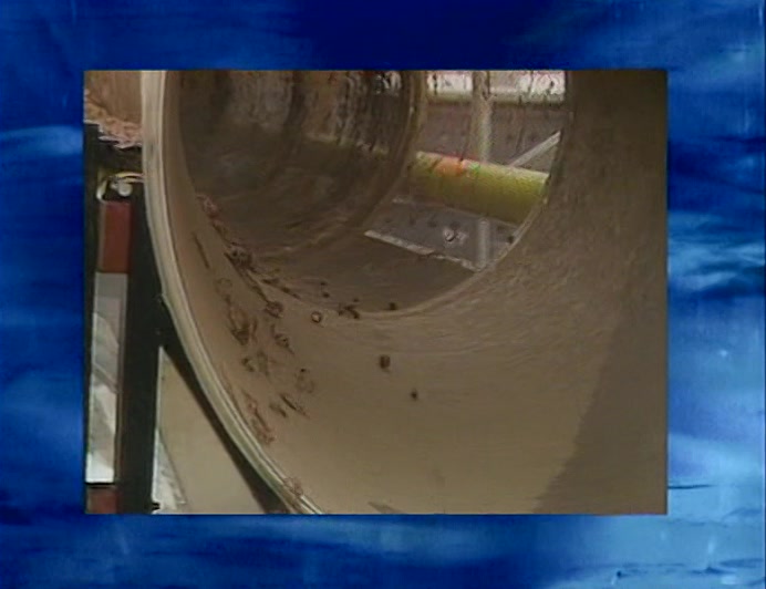 CRAMMING IN MORE WORMS LOWERS THE TEMPERATURE. 