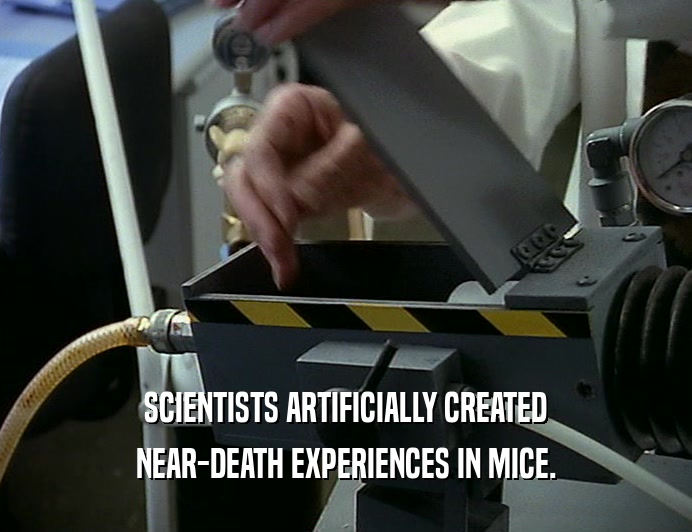 SCIENTISTS ARTIFICIALLY CREATED
 NEAR-DEATH EXPERIENCES IN MICE.
 