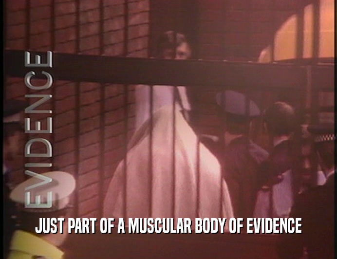 JUST PART OF A MUSCULAR BODY OF EVIDENCE
  