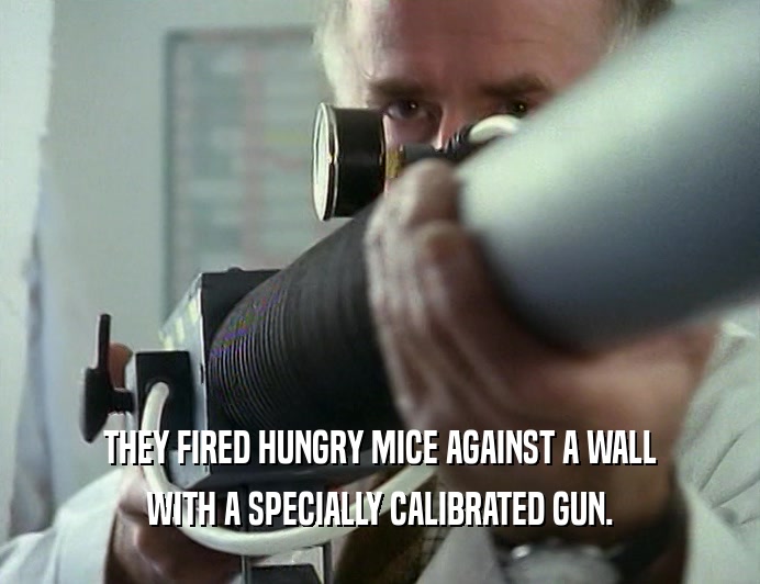 THEY FIRED HUNGRY MICE AGAINST A WALL
 WITH A SPECIALLY CALIBRATED GUN.
 