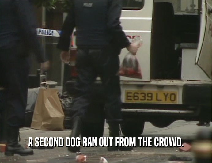 A SECOND DOG RAN OUT FROM THE CROWD.  