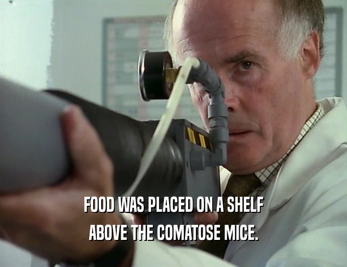 FOOD WAS PLACED ON A SHELF
 ABOVE THE COMATOSE MICE.
 
