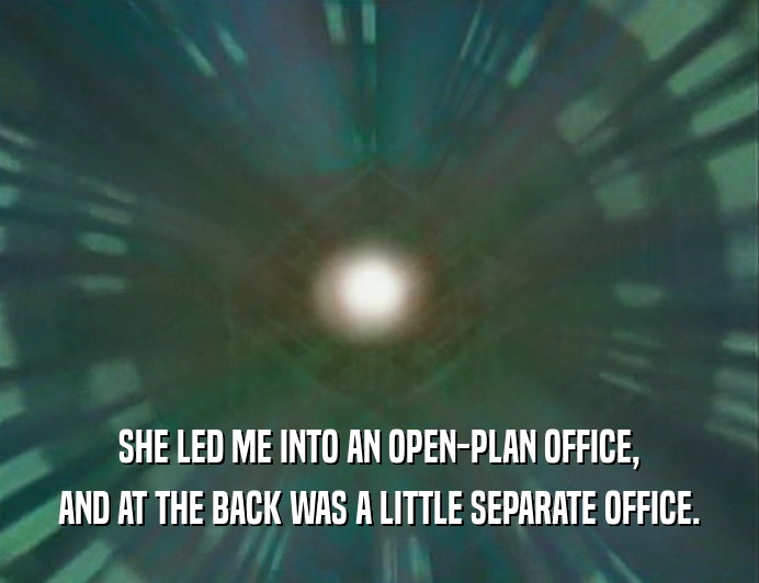 SHE LED ME INTO AN OPEN-PLAN OFFICE, AND AT THE BACK WAS A LITTLE SEPARATE OFFICE. 