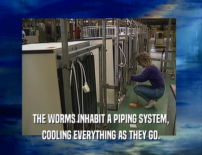 THE WORMS INHABIT A PIPING SYSTEM, COOLING EVERYTHING AS THEY GO. 