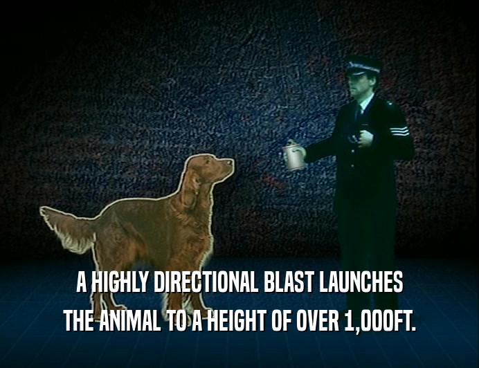 A HIGHLY DIRECTIONAL BLAST LAUNCHES
 THE ANIMAL TO A HEIGHT OF OVER 1,000FT.
 