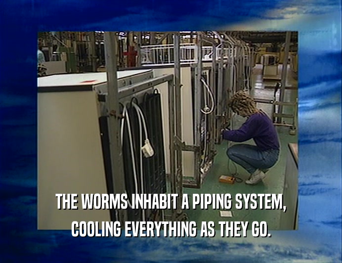THE WORMS INHABIT A PIPING SYSTEM, COOLING EVERYTHING AS THEY GO. 