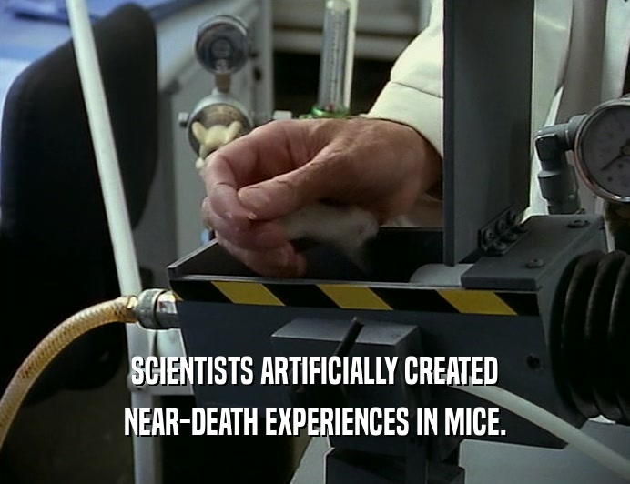SCIENTISTS ARTIFICIALLY CREATED
 NEAR-DEATH EXPERIENCES IN MICE.
 