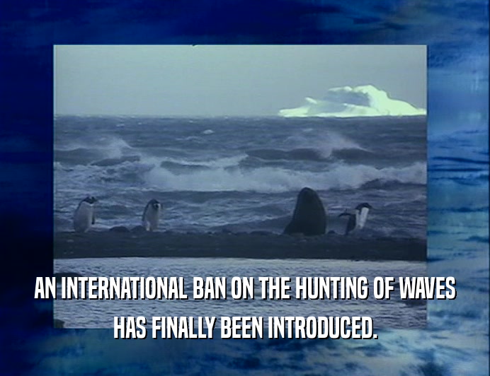 AN INTERNATIONAL BAN ON THE HUNTING OF WAVES
 HAS FINALLY BEEN INTRODUCED.
 