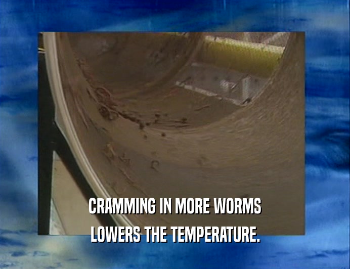 CRAMMING IN MORE WORMS LOWERS THE TEMPERATURE. 