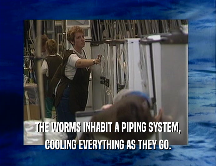 THE WORMS INHABIT A PIPING SYSTEM, COOLING EVERYTHING AS THEY GO. 