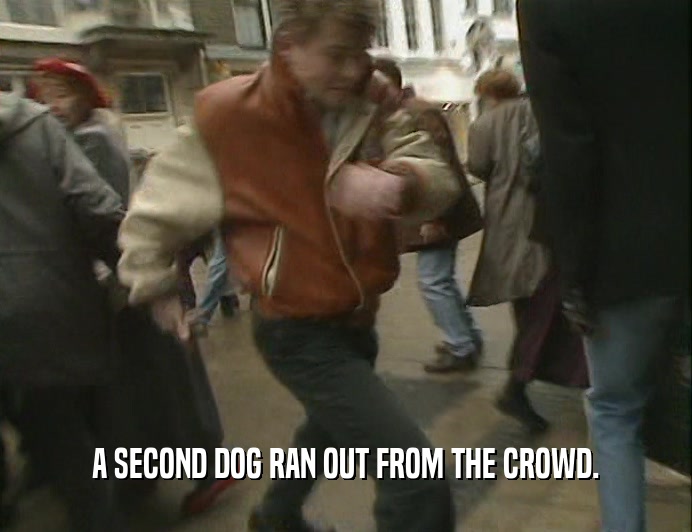 A SECOND DOG RAN OUT FROM THE CROWD.  