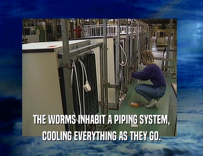 THE WORMS INHABIT A PIPING SYSTEM, COOLING EVERYTHING AS THEY GO. 