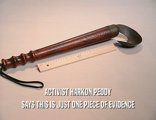 ACTIVIST HARKON PEDDY
 SAYS THIS IS JUST ONE PIECE OF EVIDENCE
 