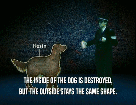 THE INSIDE OF THE DOG IS DESTROYED, BUT THE OUTSIDE STAYS THE SAME SHAPE. 